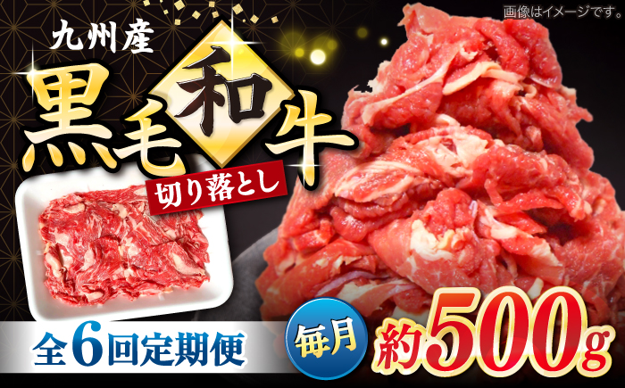 【6回定期便】長崎県産 黒毛和牛 切り落とし 約500g＜宮本畜産＞ [CFA051]