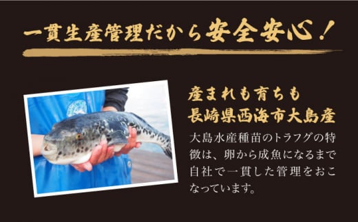 【下処理済み】 フグの王様！ トラフグ ぶつ切り （約180g×2PC） 冷凍 ＜大島水産種苗＞ [CBW037]