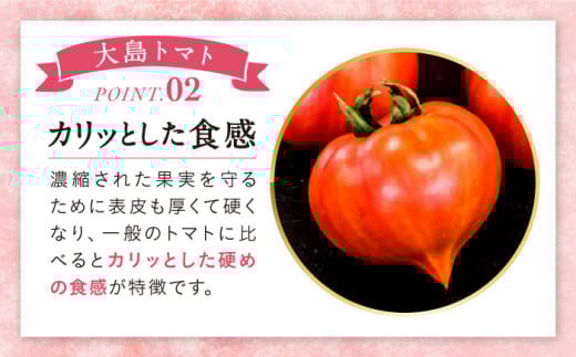 【3月中旬より配送開始】【3回定期便】【 訳あり 】 大島 トマト 約1.8kg ＜大島造船所 農産グループ＞ [CCK008] 長崎 西海 トマト とまと 大島トマト 高糖度 贈答 訳あり 不揃い 規格外 トマト 野菜 新鮮 人気 高評価 定期便