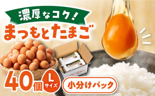 まつもと たまご Lサイズ 赤玉 40個（10個×4パック） 長崎県産 西海市 たまご 卵 玉子 タマゴ 鶏卵 オムレツ 卵かけご飯 朝食 料理 人気 卵焼き ＜松本養鶏場＞[CCD001]