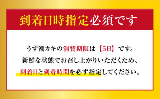 カキ 牡蠣 【着日指定可☆オゾン水で24時間浄化】【冷蔵】うず潮 カキ 約3kg（約30～50個） 牡蠣 カキ 生牡蠣 生ガキ 殻つき 冷蔵 西海 長崎 贈答 ギフト 日時指定可 ＜西彼町漁協＞［CBZ001］