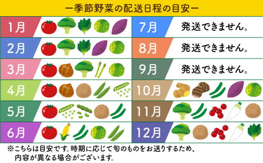 野菜 詰め合わせ（5種以上） 西海 野菜 詰め合わせ 旬 新鮮 採れたて ＜西海町特産品直売所 よかところ＞ [CBO003]