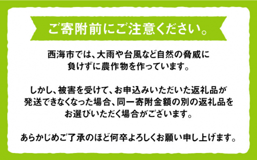 【数量限定】 ぶどう4種詰め合わせ 約5kg（8房）＜岡本　満博＞ [CEN008]