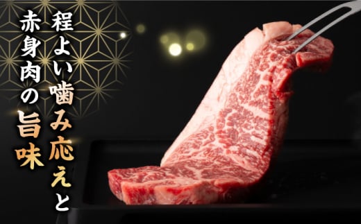 【3回定期便】 サーロイン ステーキ 長崎県産黒毛和牛 500g（2～3枚）  和牛 牛 牛肉 サーロイン ステーキ 牛ステーキ ＜宮本畜産＞ [CFA031]