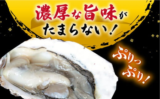 カキ 牡蠣 【着日指定可☆オゾン水で24時間浄化】【冷蔵】うず潮 カキ 約3kg（約30～50個） 牡蠣 カキ 生牡蠣 生ガキ 殻つき 冷蔵 西海 長崎 贈答 ギフト 日時指定可 ＜西彼町漁協＞［CBZ001］