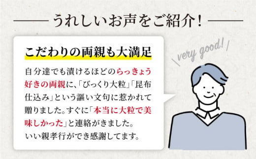 【びっくり大粒】こだわりの逸品、北海道広尾町の昆布仕込み！さいかいらっきょ艶づけ（甘酢漬け）1.2kg（600g×2P）＜道の駅さいかい みかんドーム＞ [CAI019]