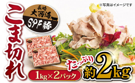 こま切れ 豚  訳あり 大西海SPF 豚 こま切れ 計2kg（1kg×2パック）豚肉 豚こま切れ 便利 こま切れ 豚小間 使いやすい ブランド豚 ＜大西海ファーム＞ [CCY005]