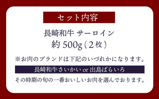 【訳あり】長崎和牛 サーロイン ステーキ 約500g（2枚） 【大西海ファーム食肉加工センター】 [CEK178]