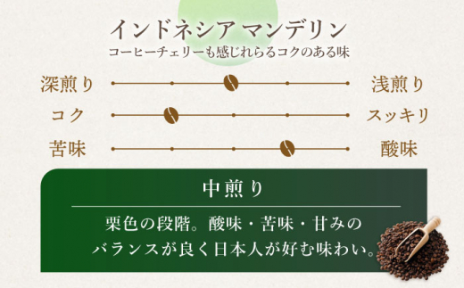 【飲み比べ】【3回定期便】ドリップバック 自家焙煎コーヒー 50袋（5種類×10袋） ＜giko coffee＞ [CFK035]