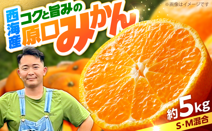 【数量限定】 原口みかん 約5kg （傷み保証分200g含む）＜田川農園＞ [CGR001]