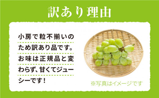 【2021年度ランキング1位獲得！】【数量限定】 【訳あり】とにかく甘い！シャインマスカット約2kg（4房～6房）＜岡本ぶどう園＞ [CEN012]