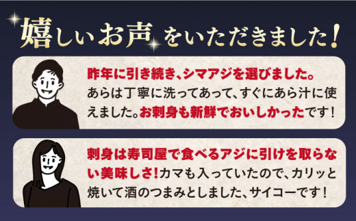 【新鮮手間なし！】 シマアジ 丸々一匹＋皮なしフィレ4切れ＋あら1つ＜大島水産種苗＞ [CBW012]