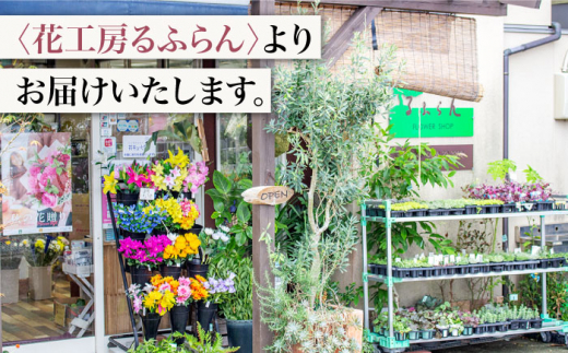 【6回定期便】【訳あり】【何色が届くかな♪】バラの花束＜花工房るふらん＞ [CCR036]