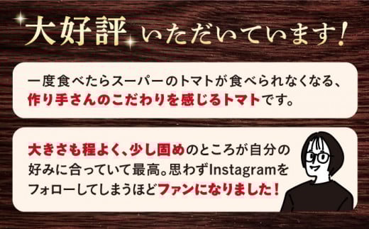 【3月中旬より配送開始】【3回定期便】【 訳あり 】 大島 トマト 約1.8kg ＜大島造船所 農産グループ＞ [CCK008] 長崎 西海 トマト とまと 大島トマト 高糖度 贈答 訳あり 不揃い 規格外 トマト 野菜 新鮮 人気 高評価 定期便