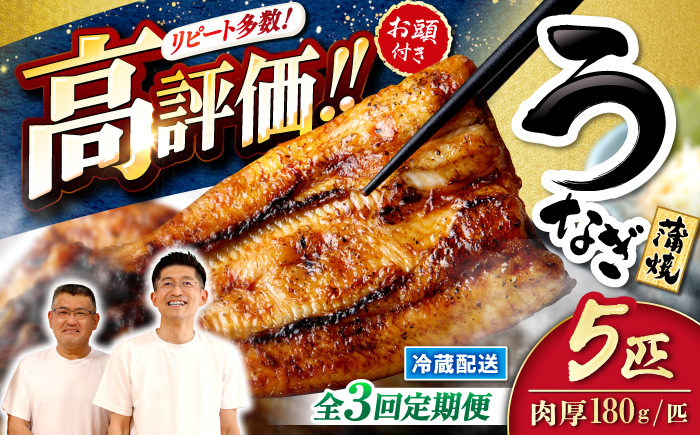 【月1回5尾×3回定期便】秘伝のタレで仕上げた国産うなぎの蒲焼［CCA011］＜入口屋＞