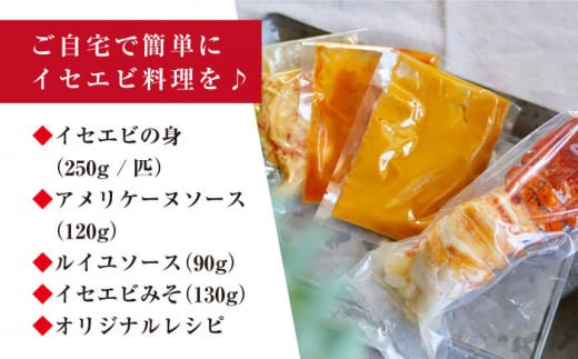 伊勢海老 イセエビ 料理キット レシピ付き！ 西海市 海老 えび エビ 伊勢海老 簡単調理 ＜西海大崎漁協 崎戸支所＞ [CAW004]