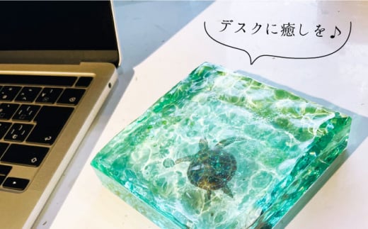 【限定30品】アートブロック エメラルドグリーンの海とカメ スケルトン インテリア＜Studio KAI by濵村裕二/  Yuji hamamura＞ [CDH018]