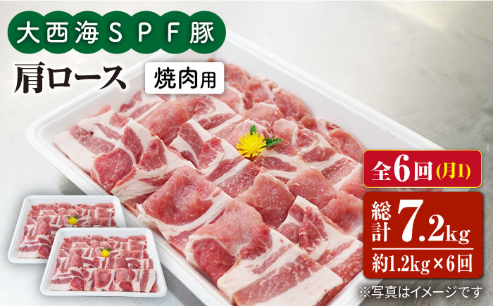 【月1回1.2kg×6回定期便】大西海SPF豚 肩ロース（焼肉用） 訳あり ＜大西海ファーム＞ [CEK091]