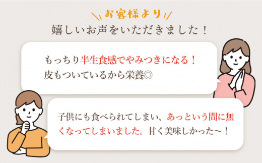 【☆先行予約☆】【3回定期便】【栄養たっぷり♪】 まるごと もっちりいも（皮付き）6パック ＜大地のいのち＞ [CDA032]