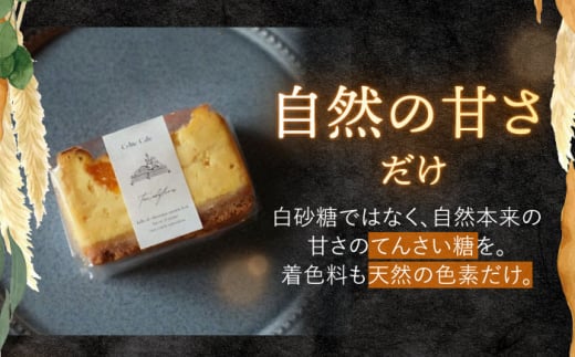 ケーキ みかん 【☆先行予約☆】西海みかん の チーズケーキ 6個 スイーツ お菓子 ケーキ チーズケーキ みかん 西海みかん ケーキ 贈り物 贈答 おしゃれ ケーキ みかん ＜自然と暮らす　ぐりーん＞ [CEM007]