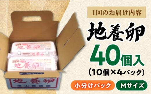 【6回定期便】最高級 卵 地養卵 Mサイズ 40個×6回定期便 長崎県産 西海市 たまご 卵 玉子 タマゴ 鶏卵 オムレツ 卵かけご飯 朝食 料理 人気 卵焼き＜垣山養鶏園＞ [CBB019]