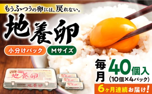 【6回定期便】最高級 卵 地養卵 Mサイズ 40個×6回定期便 長崎県産 西海市 たまご 卵 玉子 タマゴ 鶏卵 オムレツ 卵かけご飯 朝食 料理 人気 卵焼き＜垣山養鶏園＞ [CBB019]