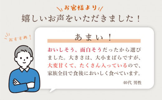 【先行予約】【品種はおまかせあれ♪】ご家庭用みかん約10kg＜かわはら＞ [CAD004]