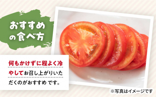 【 訳あり 】 トマト 西海市産 3kg トマト とまと 西海市 野菜 新鮮 旬 期間限定トマト ＜株式会社ミスズアグリ西海＞ [CFN003]