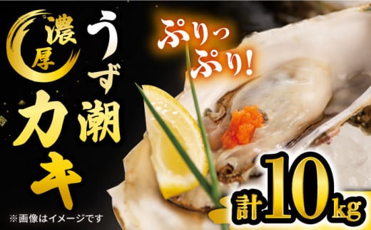 カキ 牡蠣 【着日指定可☆オゾン水で24時間浄化】【冷蔵】 うず潮 カキ 約10kg（約100～160個） 牡蠣 カキ 生牡蠣 生ガキ 殻つき 冷蔵 西海 長崎 贈答 ギフト 日時指定可  ＜西彼町漁協＞［CBZ003］