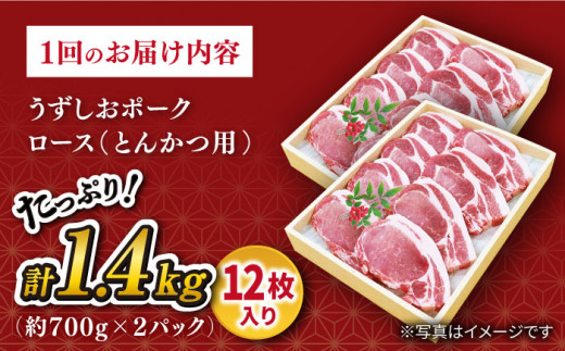 【 訳あり 】【6回定期便】 長崎 うずしおポーク ロース（とんかつ用）1.4kg ＜スーパーウエスト＞ [CAG105]