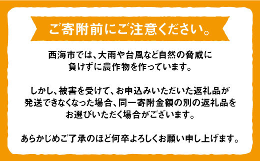 【先行予約☆限定100箱】【 訳あり 】西海1号（温州 みかん ）約 5kg （優品/Mサイズ）＜西海柑橘農業協同組合＞ [CCF003]