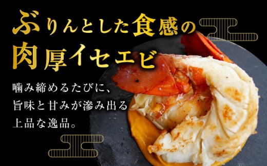 伊勢海老 イセエビ 料理キット レシピ付き！ 西海市 海老 えび エビ 伊勢海老 簡単調理 ＜西海大崎漁協 崎戸支所＞ [CAW004]