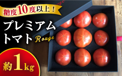 トマト ミスズプレミアム トマト 「ルージュ」約 1kg （9個） 西海市産 トマト とまと 野菜 新鮮 旬 ＜株式会社ミスズアグリ西海＞ [CFN001]