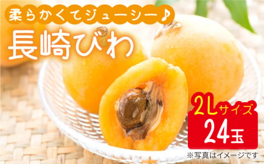 びわ 2Lサイズ 24玉（約1kg〜1.5kg）  西海市 びわ ビワ 果物 フルーツ 2Lサイズ ＜代田浩人＞ [CEO001]