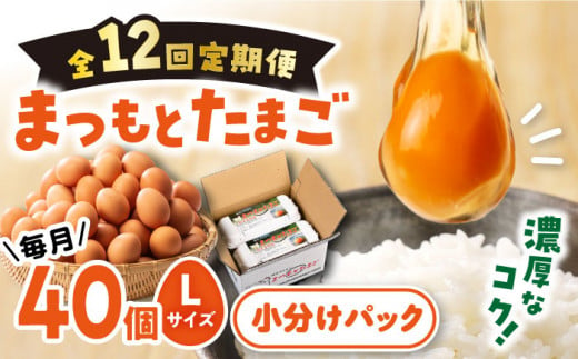 【12回 定期便 】まつもと たまご  40個 （ Lサイズ 10個×4パック） 長崎県産 西海市 たまご 卵 玉子 タマゴ 鶏卵 オムレツ 卵かけご飯 朝食 料理 人気 卵焼き ＜松本養鶏場＞[CCD004]