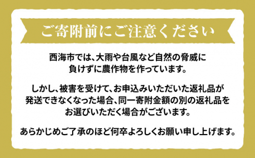 【令和6年産 新米】【木村式自然栽培】 白米 くまみのり 約 5kg ＜ハマソウファーム＞ [CBR012]