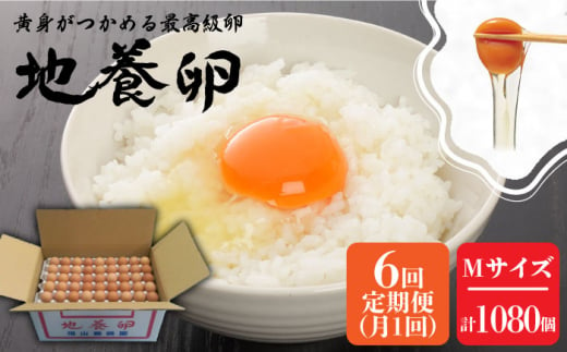 【6回定期便】最高級 卵 地養卵 Mサイズ 180個×6回定期便 長崎県産 西海市 たまご 卵 玉子 タマゴ 鶏卵 オムレツ 卵かけご飯 朝食 料理 人気 卵焼き＜垣山養鶏園＞ [CBB011]