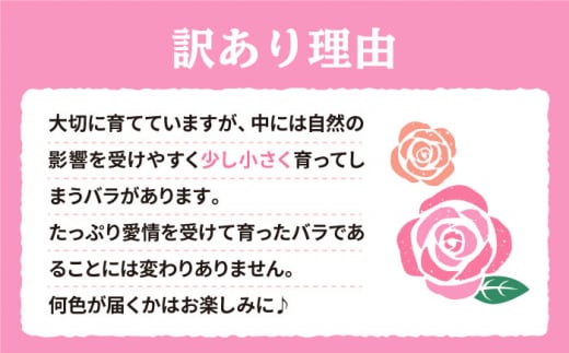 【6回定期便】【訳あり】【何色が届くかな♪】バラの花束＜花工房るふらん＞ [CCR036]