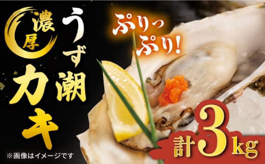 カキ 牡蠣 【着日指定可☆オゾン水で24時間浄化】【冷蔵】うず潮 カキ 約3kg（約30～50個） 牡蠣 カキ 生牡蠣 生ガキ 殻つき 冷蔵 西海 長崎 贈答 ギフト 日時指定可 ＜西彼町漁協＞［CBZ001］