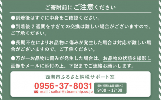 【数量限定】【大粒！】 小林さん家のシャインマスカット 約2kg （3～4房） ＜小林農園＞ [CEQ005]