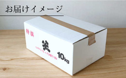 【 令和5年産 新米 ☆先行予約】【木村式自然栽培】 玄米 くまみのり 約 10kg ＜ハマソウファーム＞ [CBR019]