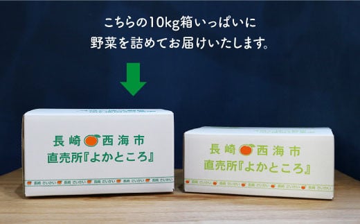 野菜 詰め合わせ（8種以上） 西海 野菜 詰め合わせ 旬 新鮮 採れたて ＜西海町特産品直売所 よかところ＞ [CBO001]