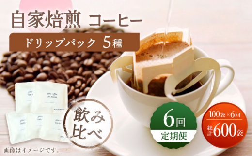 【飲み比べ】【6回定期便】ドリップバック 自家焙煎コーヒー 100袋（5種類×20袋） ＜giko coffee＞ [CFK039]