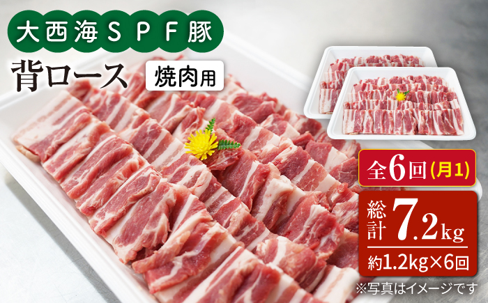 【月1回1.2kg×6回定期便】大西海SPF豚 背ロース（焼肉用） 訳あり ＜大西海ファーム＞ [CEK097]