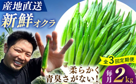 【3回定期便】【先行予約】 オクラ 約2kg おくら 夏野菜 野菜 オクラ やさい 新鮮 ＜パッパラパー農園＞ [CFI006]