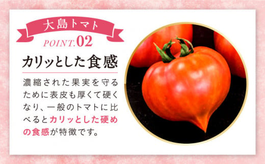 高糖度 トマト 【2025年収穫分先行予約】 高糖度 トマト 【糖度8度以上！】 大島トマト 約3kg   西海市産 トマト とまと 野菜 新鮮 旬 ＜大島造船所 農産グループ＞ [CCK005]