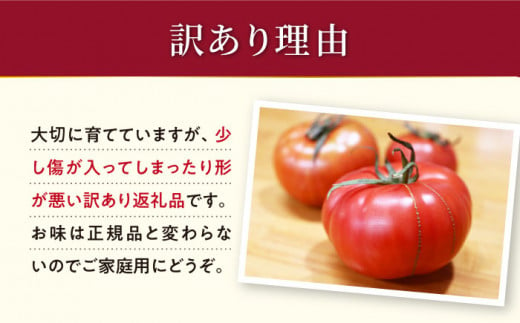 トマト 高糖度 【2025年収穫分先行予約】【2回 定期便 】【 訳あり 】糖度9度以上！ 大島 トマト 特選「 ルビーのしずく 」約1.2kg 西海市産 トマト とまと 訳あり トマト 大島トマト 甘いトマト ＜大島造船所 農産グループ＞ [CCK031]