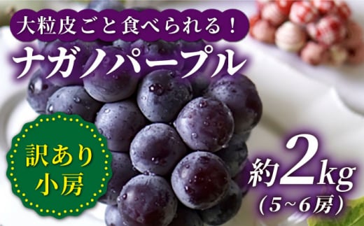 【訳あり】【数量限定】【種なし皮ごと！】ナガノパープル 約2kg（5～6房） ぶどう ブドウ 巨峰 種なし 西海市産  ＜山田敦義＞ [CCX004]