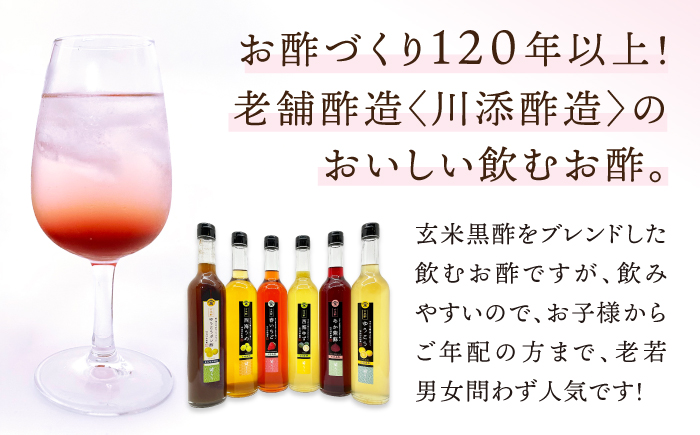 【3回定期便】 【飲む玄米酢】酢らり 大瓶6種セット（5種＋ポン酢）＜川添酢造＞ [CDN141]