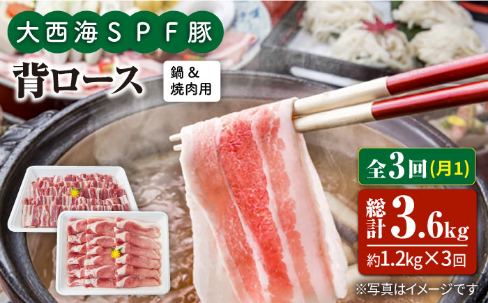【月1回1.2kg×3回定期便】大西海SPF豚 背ロース（焼肉＆しゃぶしゃぶ用）計3.6kg 訳あり ＜大西海ファーム＞ [CEK098]